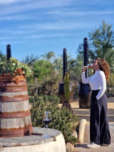 Alicante; Wine Tour, Wineries, Food and Transfer included - The guide and language experience