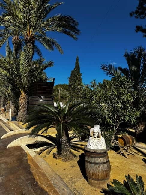 Alicante; Wine Tour, Wineries, Food and Transfer included - Cancellation, timing, and group planning
