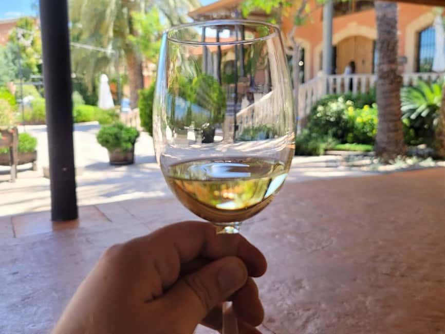 Alicante:Winery Tour+ Wine Tasting + Old castle - Starting from Alicante with a small group