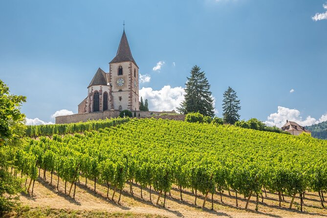 Alsace Full Day Wine Tour from Colmar - Why this is a smart way to see Alsace