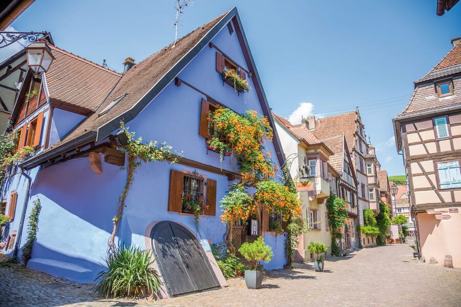 Alsace: Full-Day Wine Tour & Tastings from Strasbourg - The guide and minivan make the difference