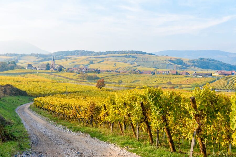 Alsace: Full-Day Wine Tour & Tastings from Strasbourg - Leaving Strasbourg for Mittelbergheim
