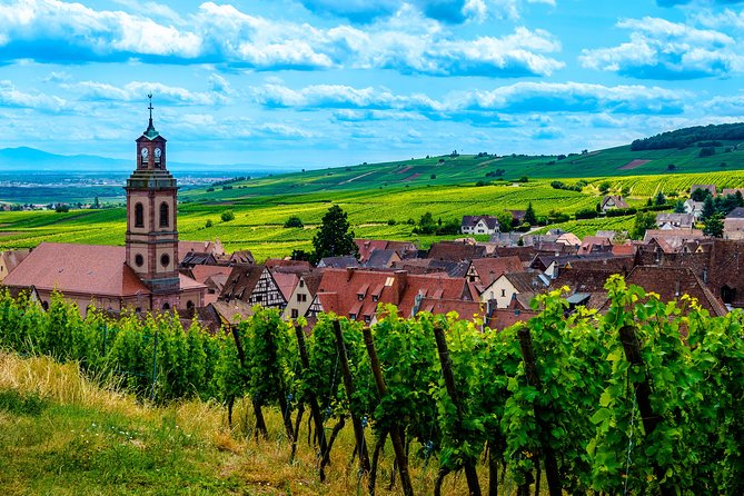 Alsace: Half-Day Wine Tour from Colmar - Why this half-day format works from Colmar
