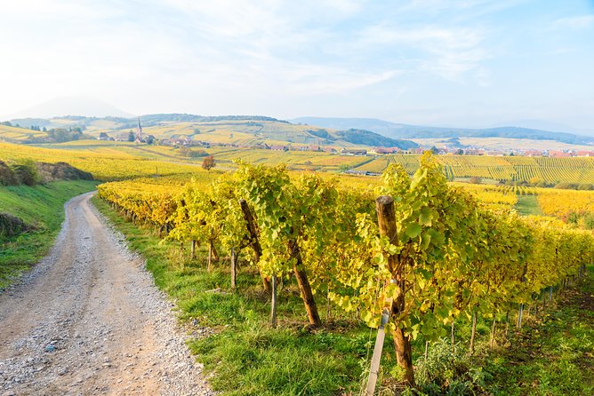 Alsace: Half-Day Wine Tour from Colmar - Hunawihr: 45 minutes in a quieter wine village