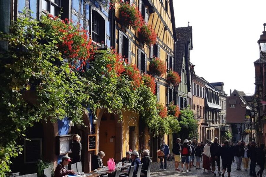 Alsace: Half-Day Wine Tour from Colmar - Practical advice before you go