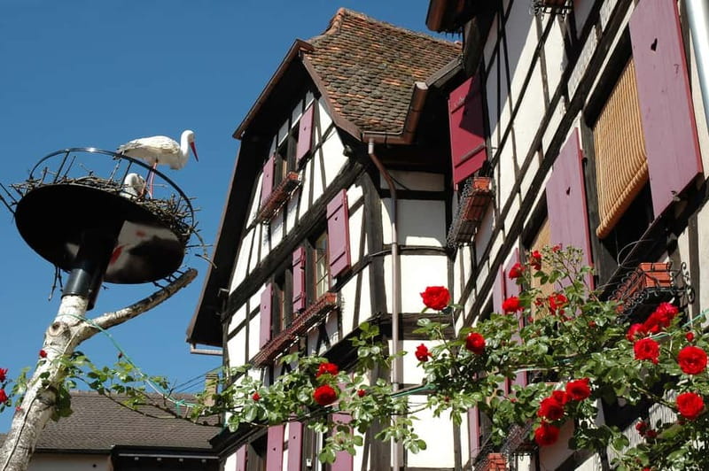 Alsace Half-Day Wine Tour from Strasbourg - Why this short Alsace tour works