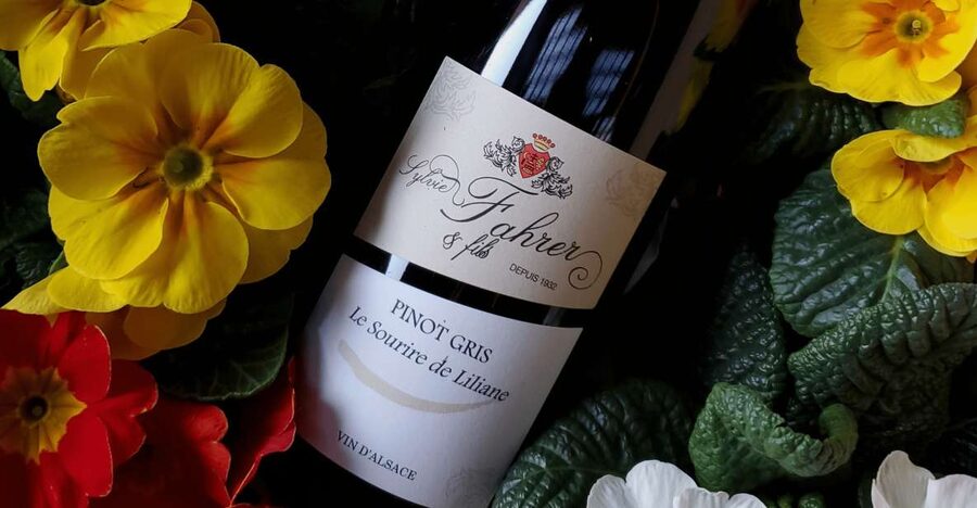 Alsace: Winery Tour and Alsatian Wine Tasting ENGLISH - Following four generations of winemaking