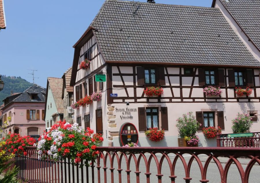 Alsace: Winery Tour and Alsatian Wine Tasting ENGLISH - The blind tasting with black glasses