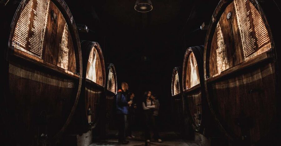 Alsatian Guided Wine Tasting and Immersive wine cellar tour - Key points to know before you go