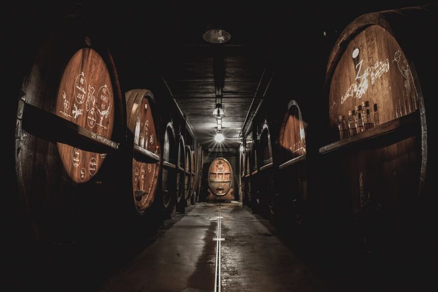 Alsatian Guided Wine Tasting and Immersive wine cellar tour - Practical advice for a smoother visit