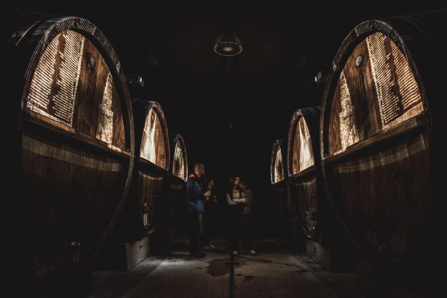 Alsatian Guided Wine Tasting and Immersive wine cellar tour - Five wines, from sparkling to sweet