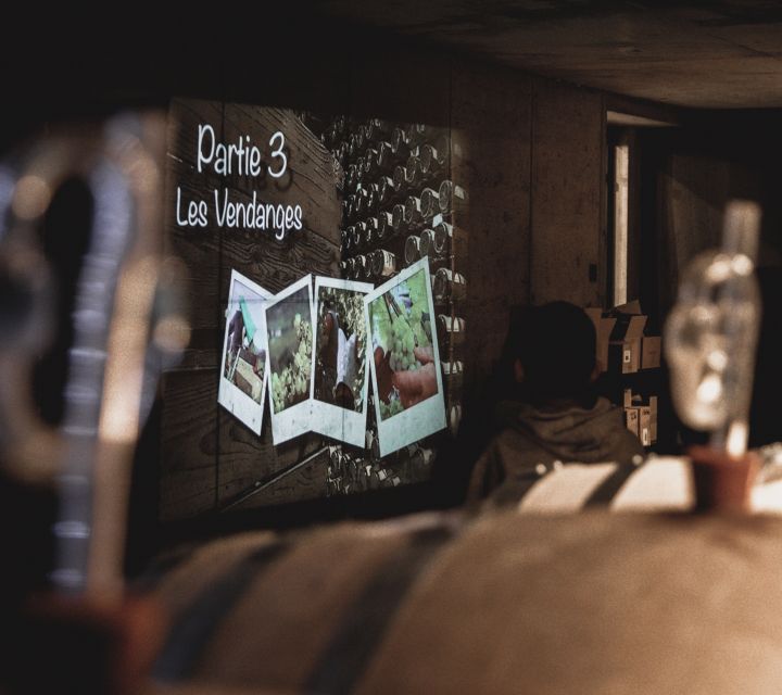 Alsatian Guided Wine Tasting and Immersive wine cellar tour - The 180-degree film across the cellar barrels
