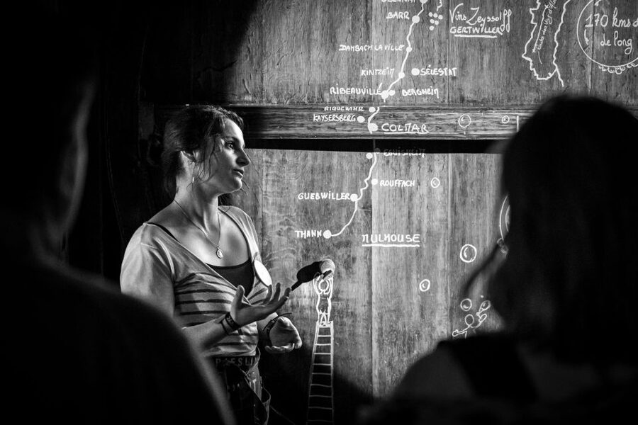 Alsatian Guided Wine Tasting and Immersive wine cellar tour - The shopping stop and the time you should allow