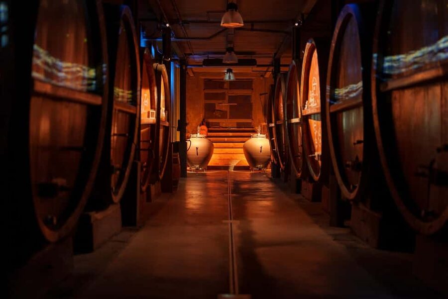 Alsatian Guided Wine Tasting and Immersive wine cellar tour - Is $22 a good price?