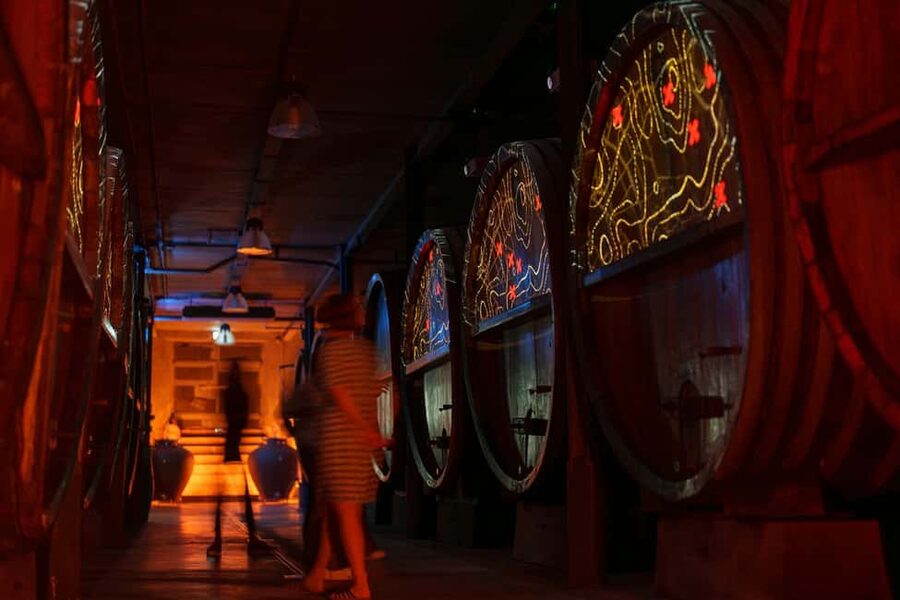 Alsatian Immersive Wine Tour, Wine Tasting & Alsatian lunch - Starting in Gertwiller at a family winery