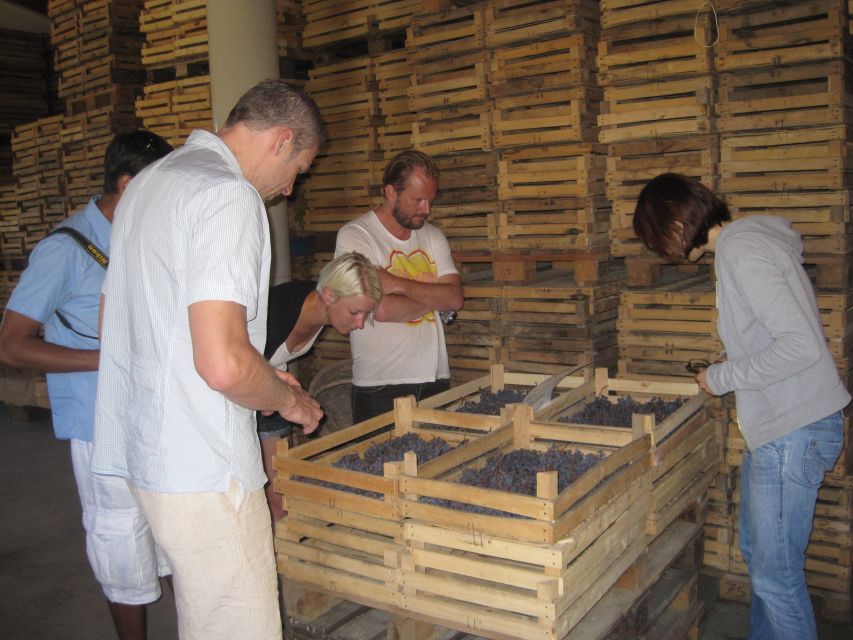Amarone Wine Tour & Tasting from Venice, Padua or Verona - The second winery and the making of Amarone