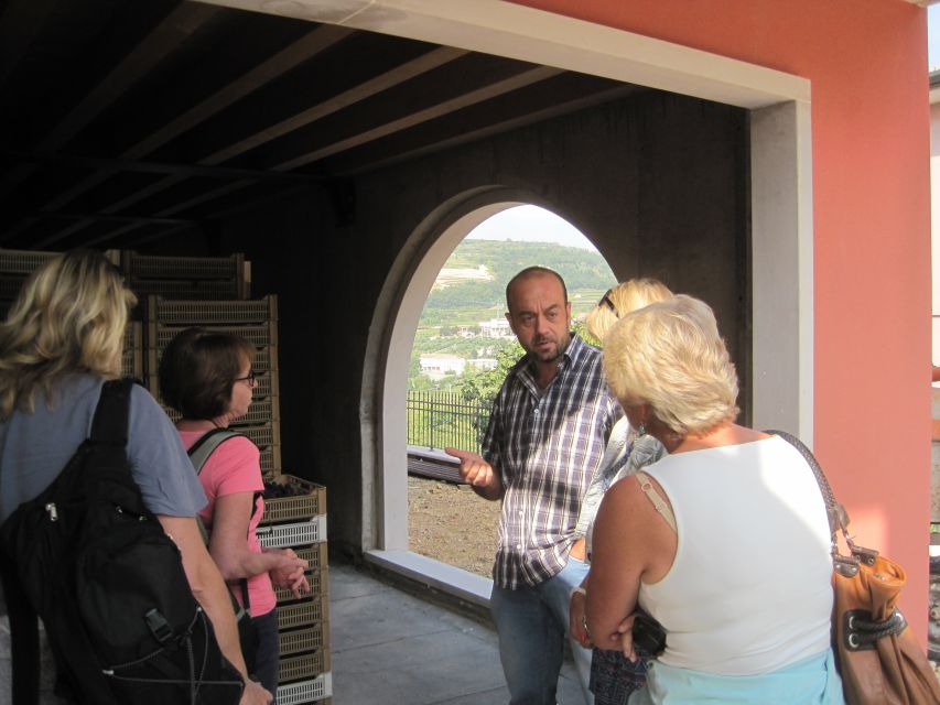 Amarone Wine Tour & Tasting from Venice, Padua or Verona - Who will enjoy this day most?