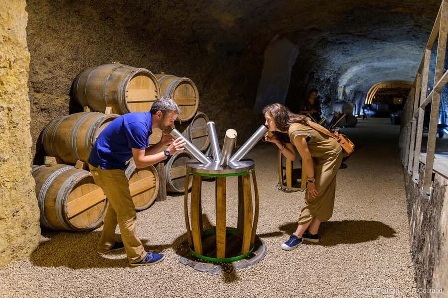 Amboise: Caves Ambacia Visit and Wine Tasting - Should you book this Amboise wine tour?