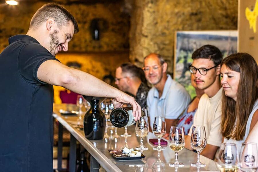 Amboise: Caves Ambacia Visit and Wine Tasting - What the $37 price really buys you
