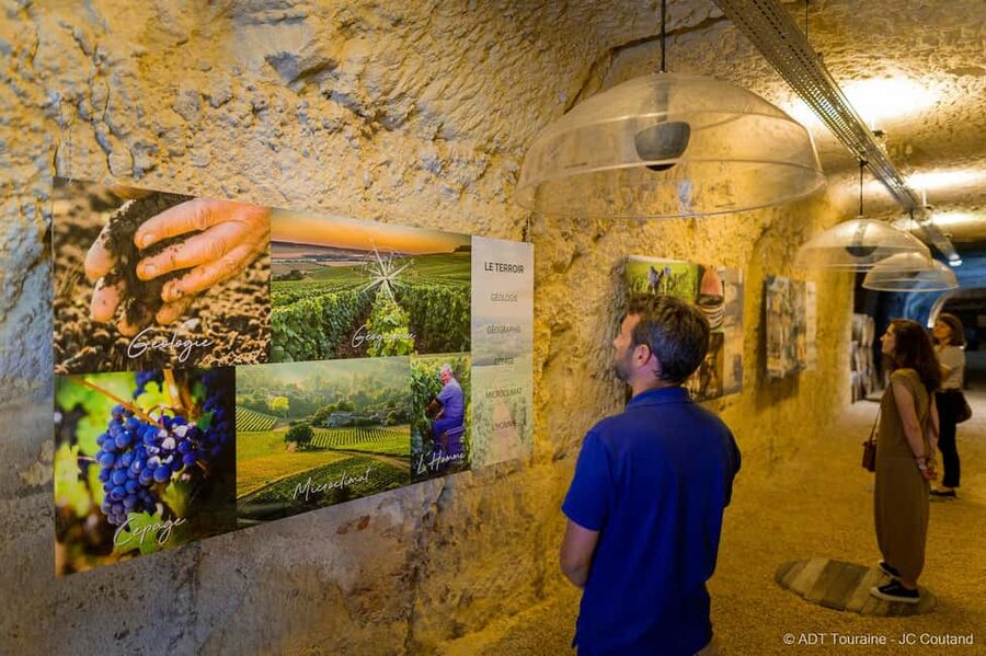 Amboise: Caves Ambacia Visit and Wine Tasting - Language, accessibility, and group style