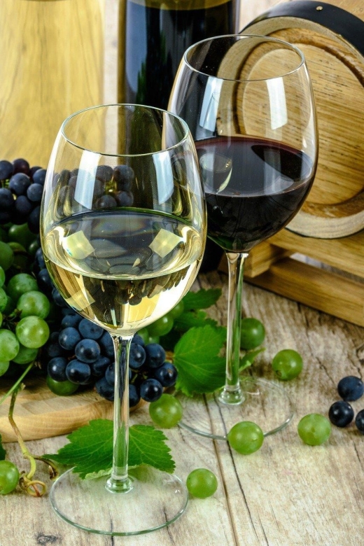 Aperitive guided cruise « Wine and Canelé » - Limits to Keep in Mind