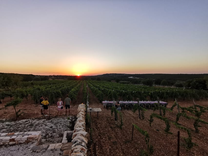 Apulia: Guided Wine Tasting with Local Appetizers - Four wines from local grape varieties