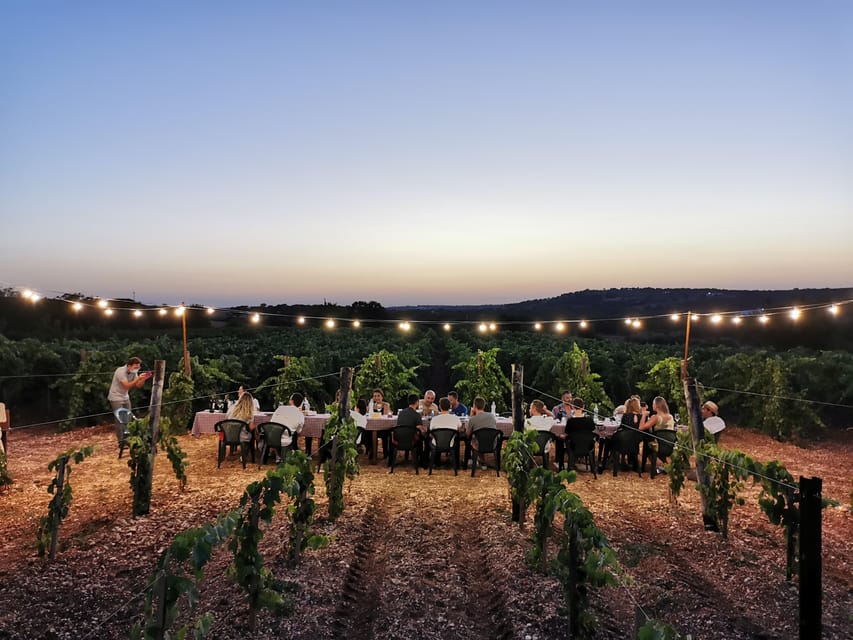 Apulia: Guided Wine Tasting with Local Appetizers - What happens during the two hours