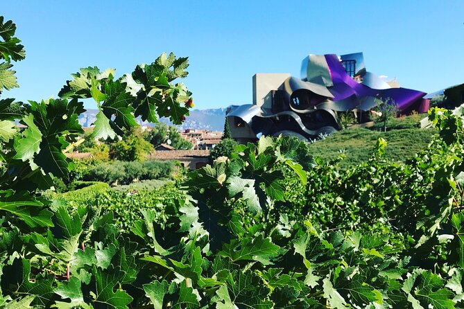 Architectural Rioja Small Group Wine Tour with Lunch from Bilbao - Who will enjoy this tour most