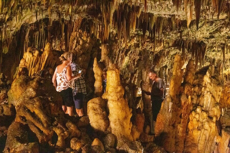 Argostoli: Melissani & Drogarati Cave Tour with Wine Tasting - Who should book this outing