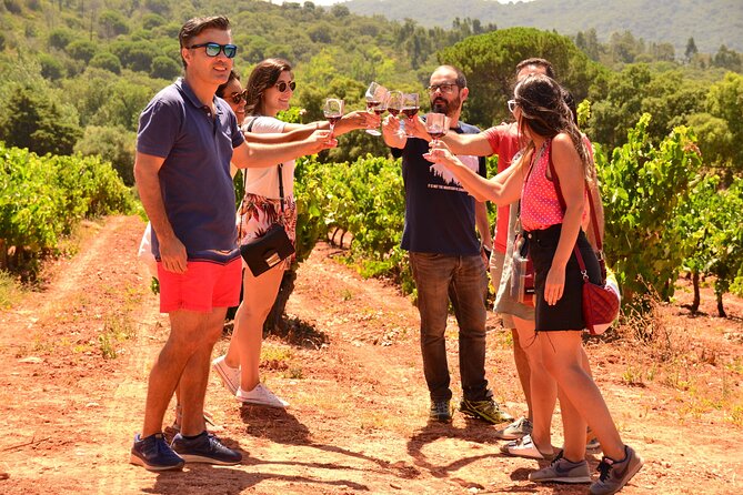Arrabida and Sesimbra Small-Group Day Trip from Lisbon with Wine Tasting - Quinta do Alcube, a family-run wine farm
