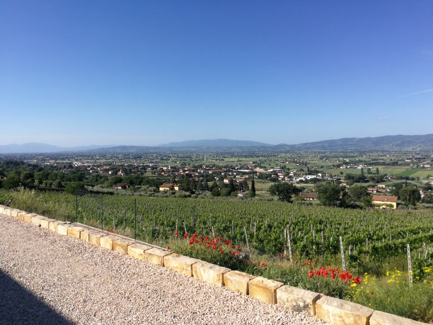 Assisi: Organic Balsamic Vinegar, Olive Oil & Wine Tour - Key points to know before booking