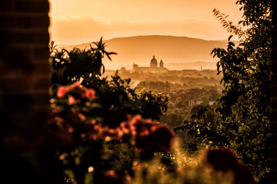 Assisi: Organic Wine and Cheese Tasting - Bruschetta, cheese, jams, and balsamic vinegar