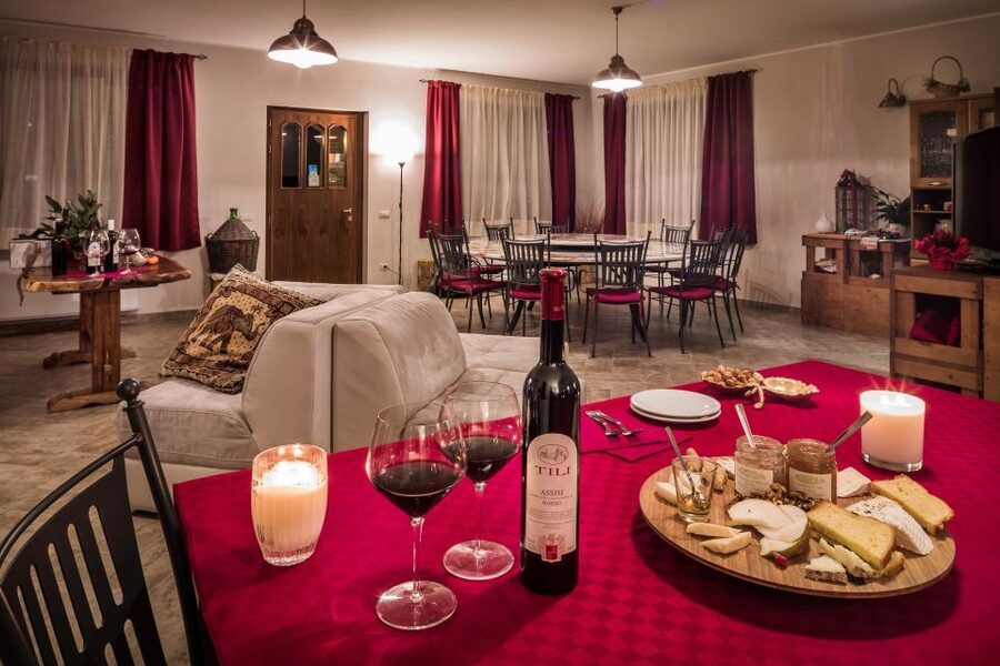 Assisi: Organic Wine and Cheese Tasting - A family atmosphere, not a rushed tasting room