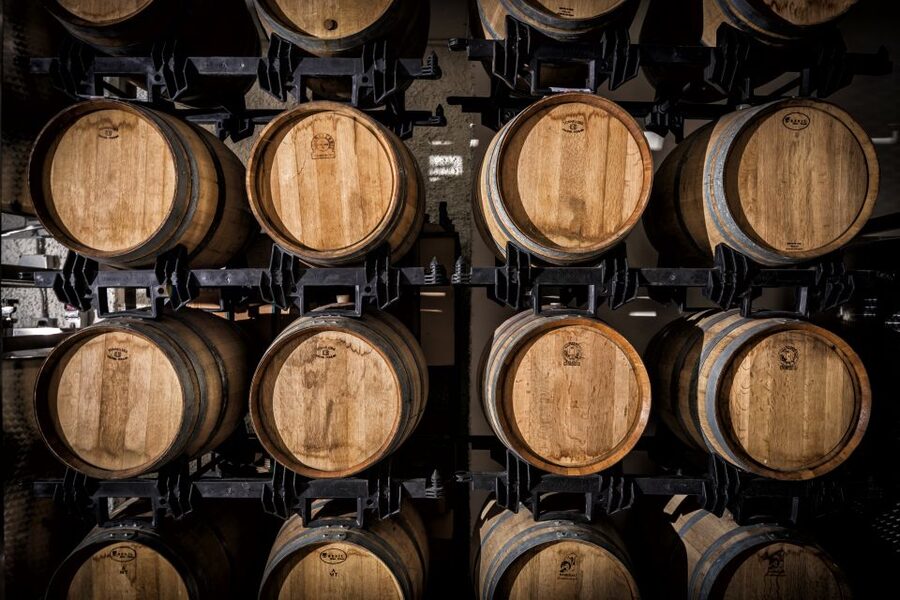 Assisi: Organic Wine and Cheese Tasting - Is $29 a good price?