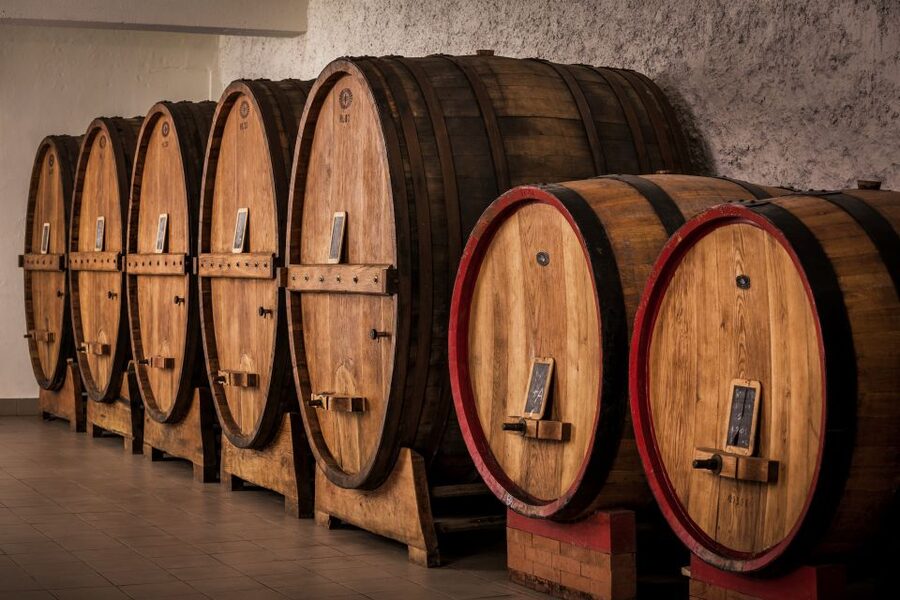 Assisi: Organic Wine and Cheese Tasting - How to fit it into an Assisi day