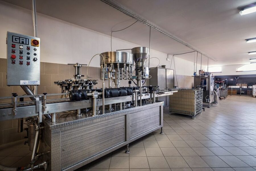 Assisi: Organic Winery Tour with Tastings & Typical Food - Key points to know before you book