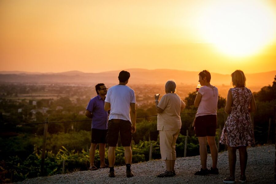 Assisi: Organic Winery Tour with Tastings & Typical Food - Five wines and a proper Umbrian spread