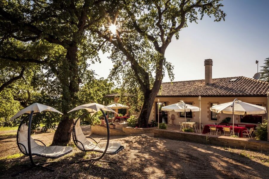 Assisi: Organic Winery Tour with Tastings & Typical Food - Why the organic focus adds value
