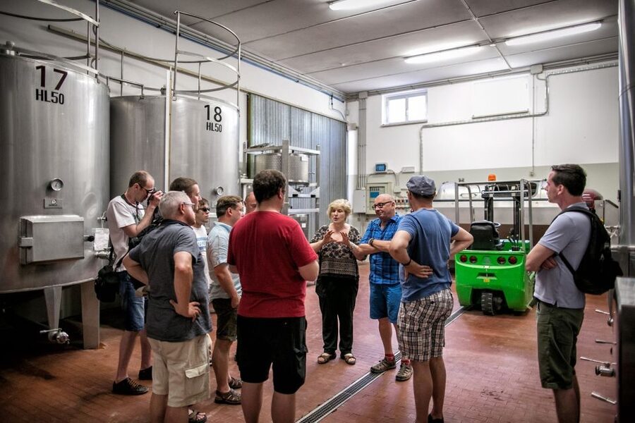 Assisi: Organic Winery Tour with Tastings & Typical Food - Who will enjoy this most