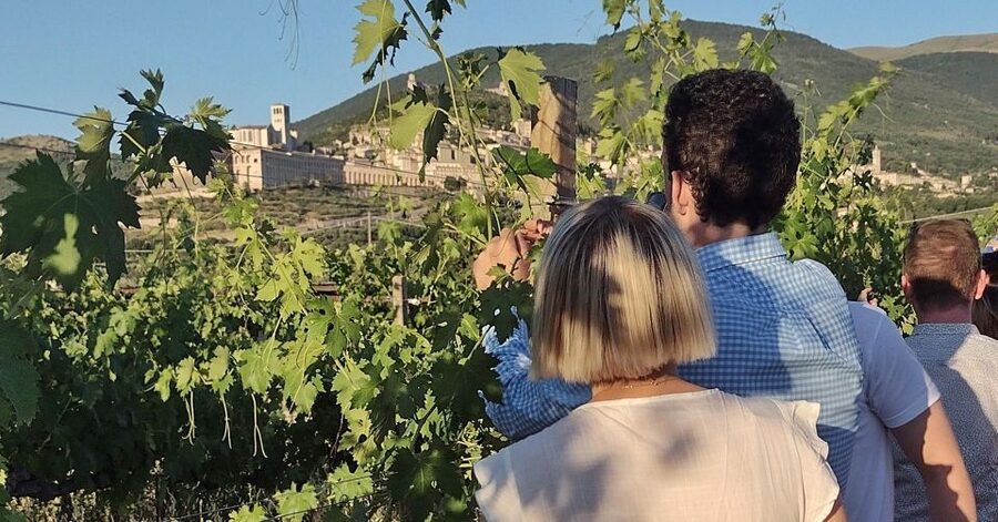Assisi: Wine tasting, gourmet pairing, walk in the vineyards - Key points at a glance