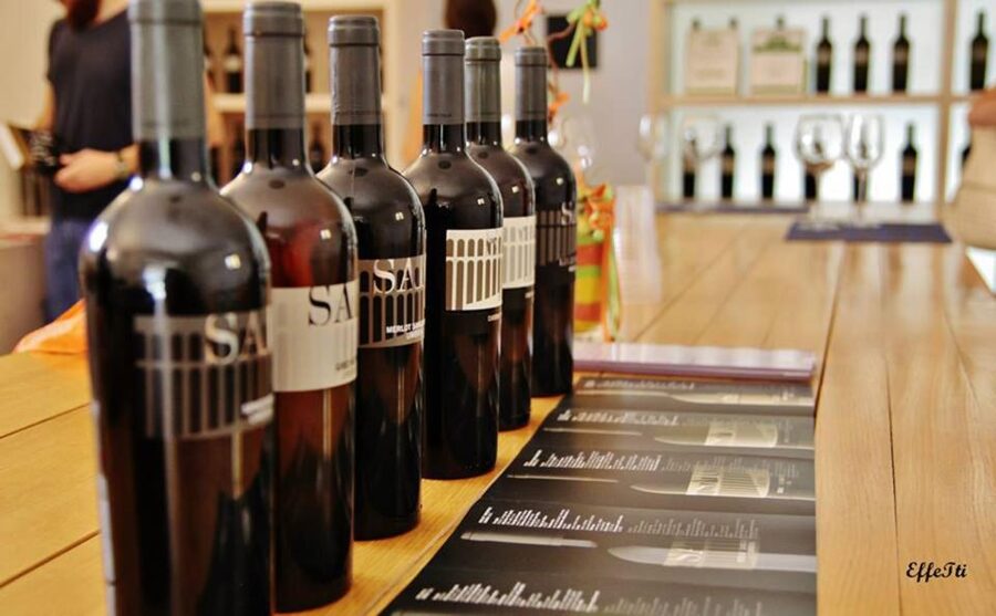 Assisi: Wine tasting, gourmet pairing, walk in the vineyards - Should you book the Vineyard of Assisi tasting?