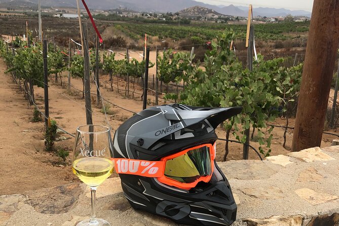 ATV Off-Road Adventure through Valle de Guadalupe + Winery Visit - Starting at Lago Valle Wine Glamping
