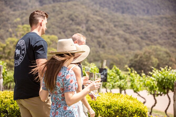 Audrey Wilkinson Vineyard: Picnic with Wine Masterclass Tasting - What Is Included, and Where the Wording Is Fuzzy