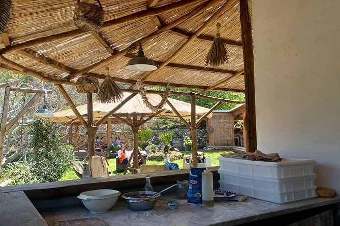 Authentic Farm Tour with Pizza, Cheese, Wine & Limoncello Tasting - Making your own pizza with Anna