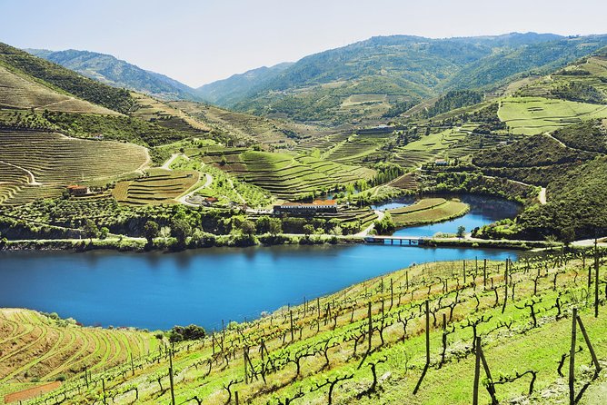 Authentic Small Group Douro Wine Tour with Lunch & River Cruise - Why the Douro deserves a full day from Porto