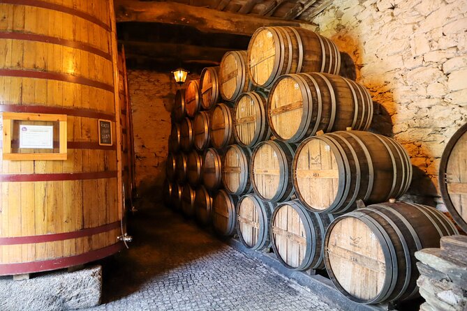 Authentic Small Group Douro Wine Tour with Lunch & River Cruise - First winery: how Douro wine is made