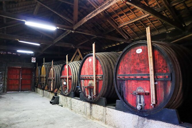 Authentic Small Group Douro Wine Tour with Lunch & River Cruise - The guides shape the experience