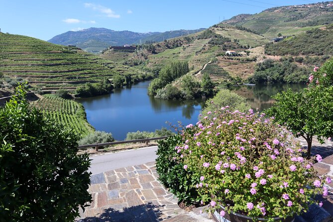 Authentic Small Group Douro Wine Tour with Lunch & River Cruise - Is $133.02 good value?