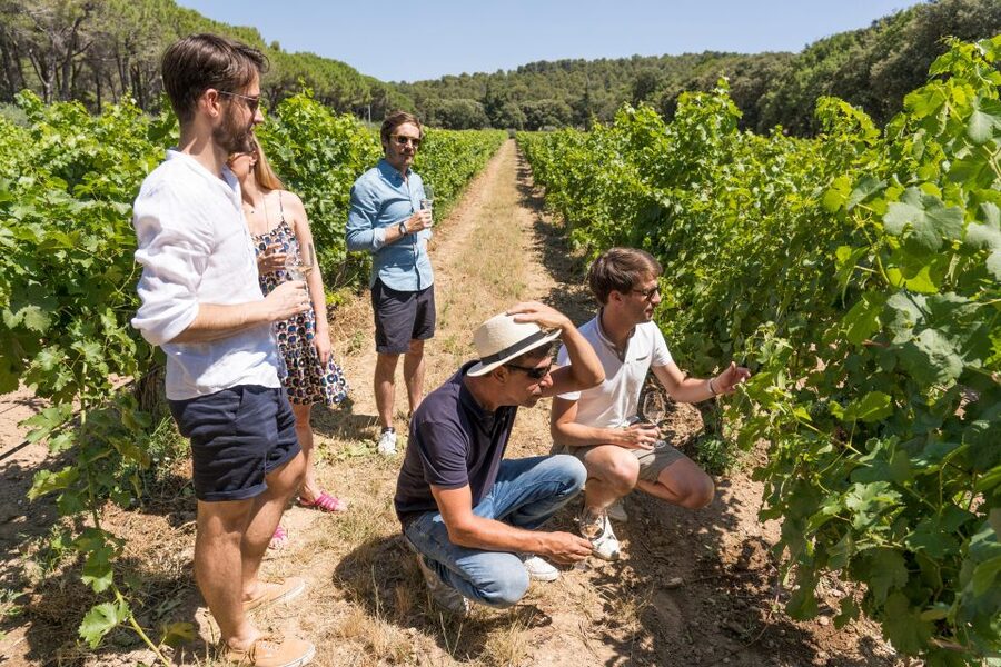 Avignon: Full-Day Châteauneuf du Pape Wines & Luberon Tour - Lacoste and the castle of the Marquis de Sade