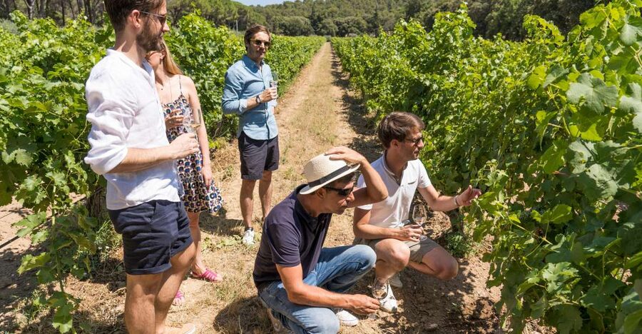 Avignon: Full-Day Châteauneuf du Pape Wines & Luberon Tour - Roussillon and the ochre colors of the Luberon